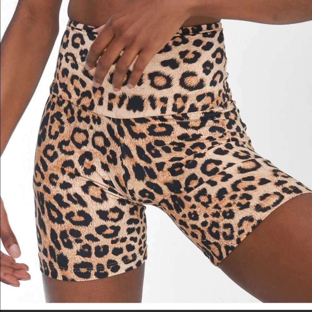 BBB wild card shorts